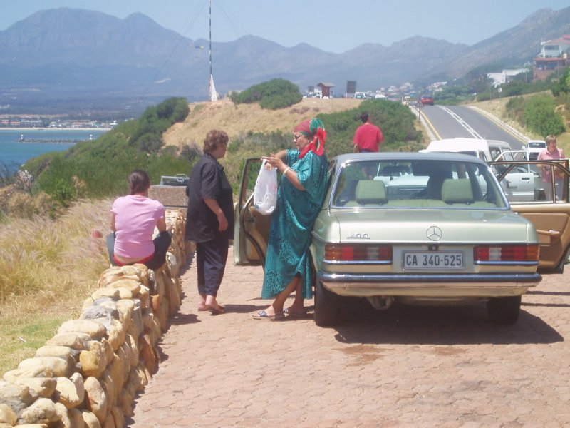 KeHa_in_South_Africa - 158